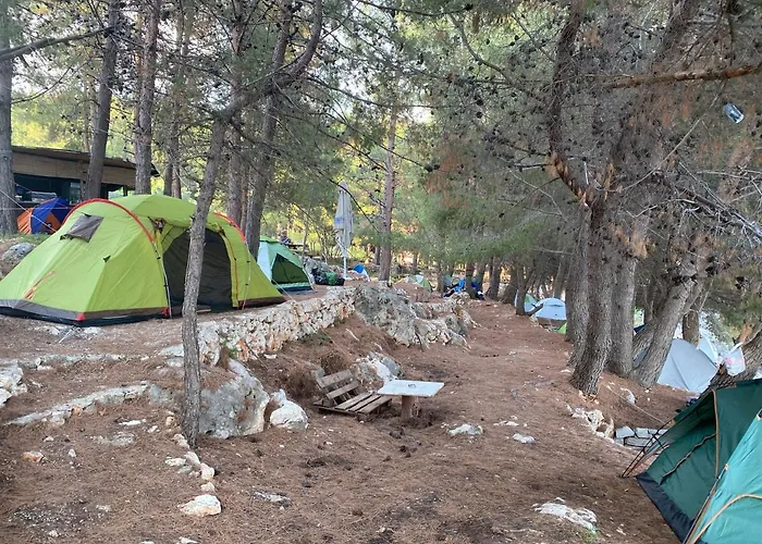 Pine Side Camp