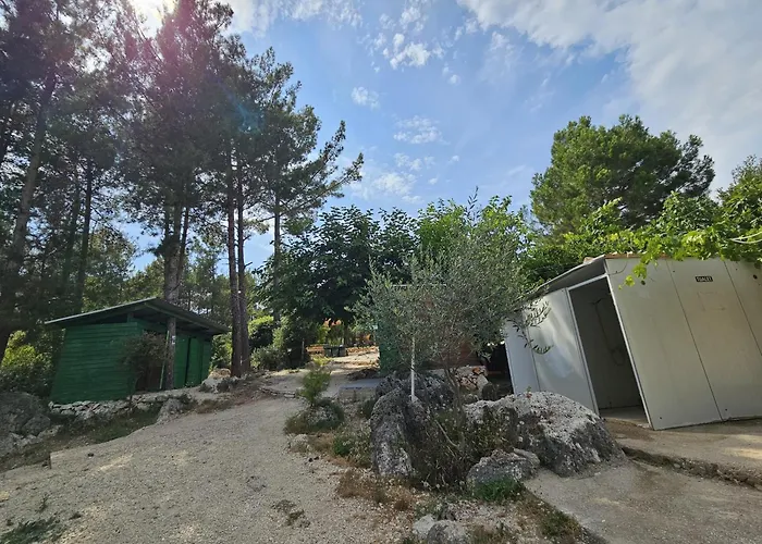 Pine Side Camp
