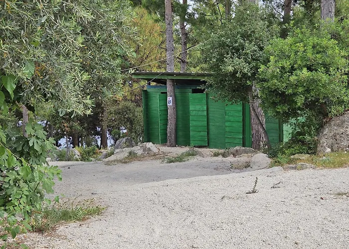 Pine Side Camp