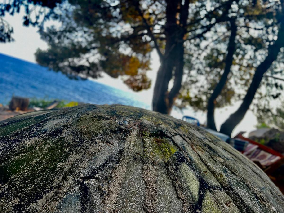 Pine Side Camp Himare